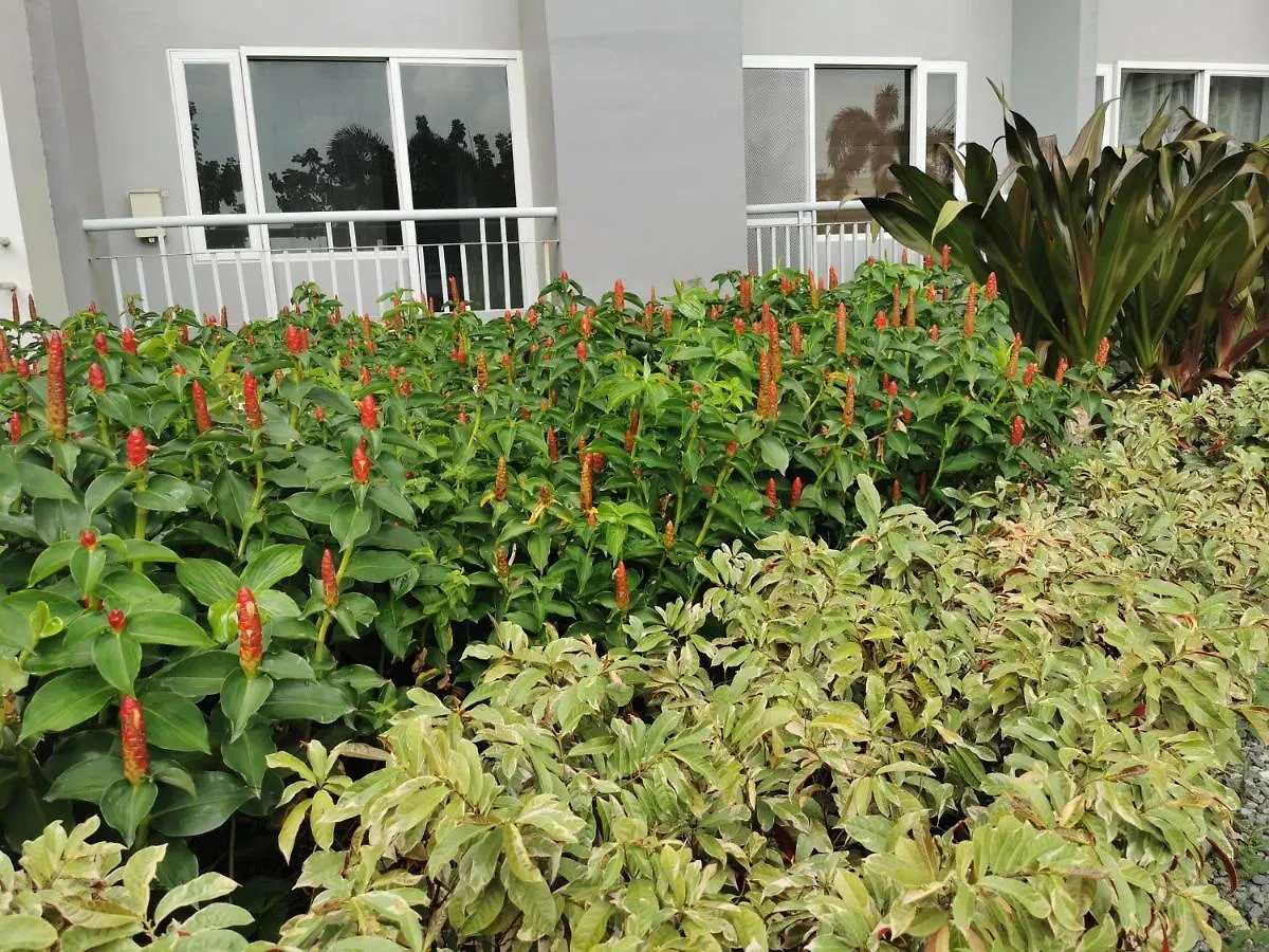 Crib'S Nr.Bgc Apartment Manila Philippines